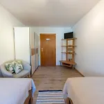 Apartment Haus Frey Altaussee