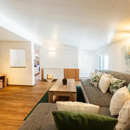 Haus Frey 奥尔陶斯